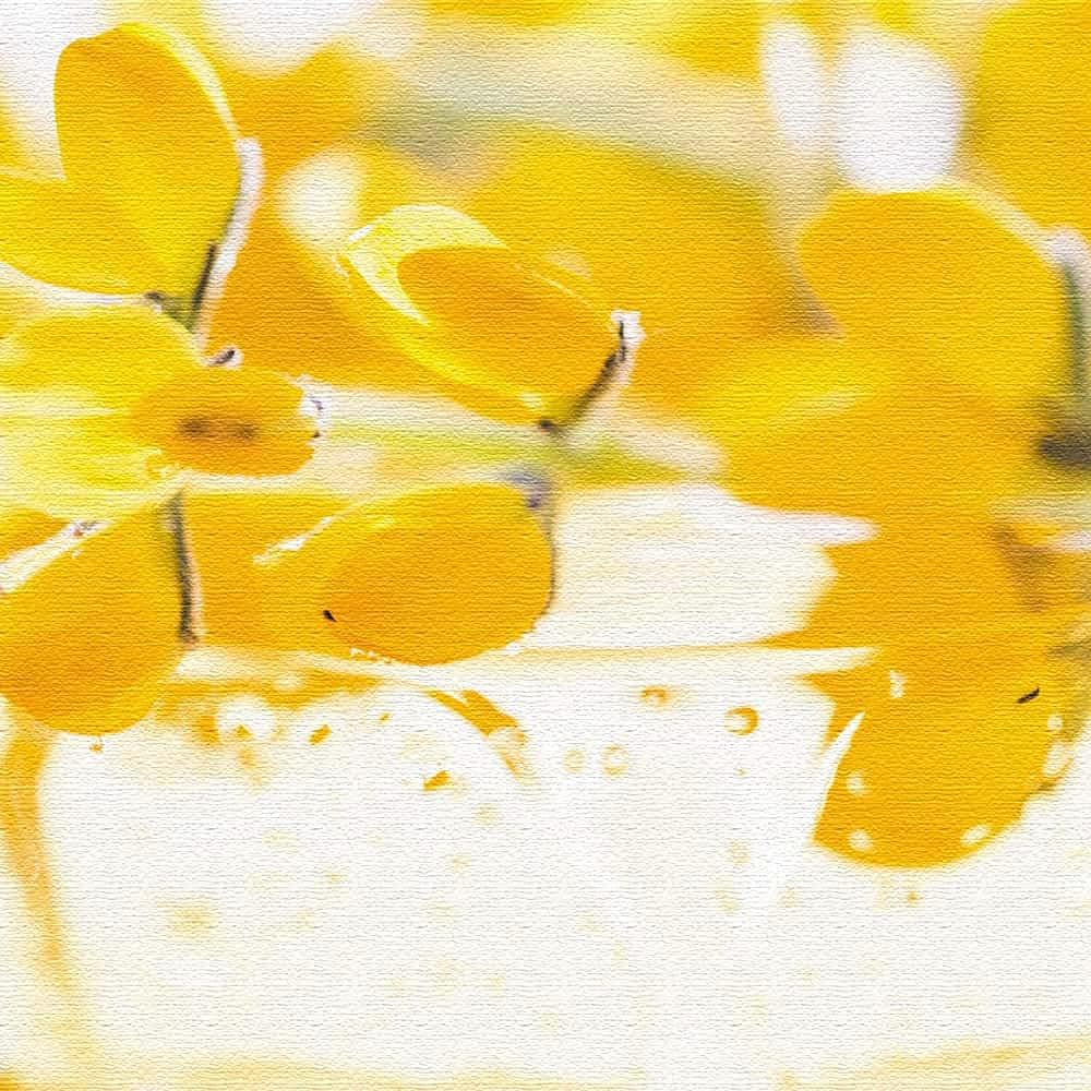 ⑧アートデリ ポスター パネル 花 100cm × 100cm 竹内陽子 日本製 軽量